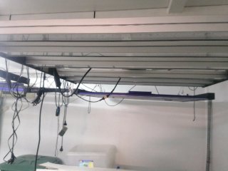 Lumatek Zeus 600W Pro 2.9