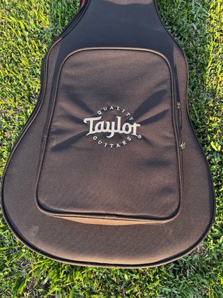 Taylor AD17e
