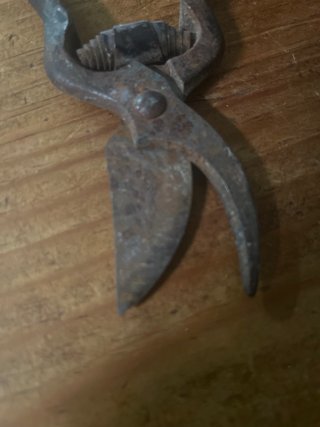Tijeras de vendimia y poda antiguas