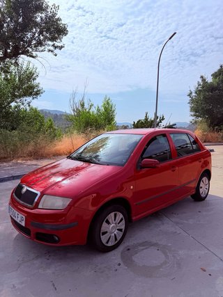 Skoda Fabia 2007 103KM Etiqueta C