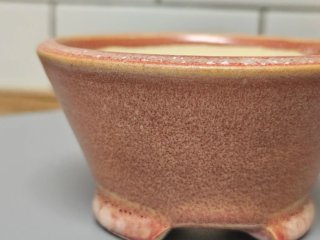 Maceta Kusamono Cerámica Rosa Beige