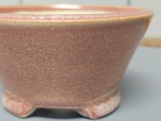 Maceta Kusamono Cerámica Rosa Beige