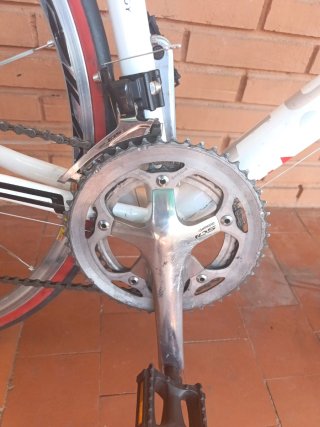 Bicicletta da strada Focus Variado