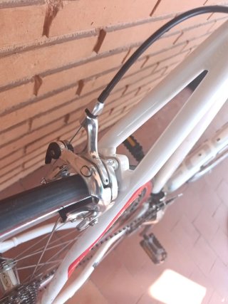 Bicicletta da strada Focus Variado