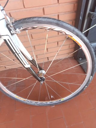 Bicicletta da strada Focus Variado