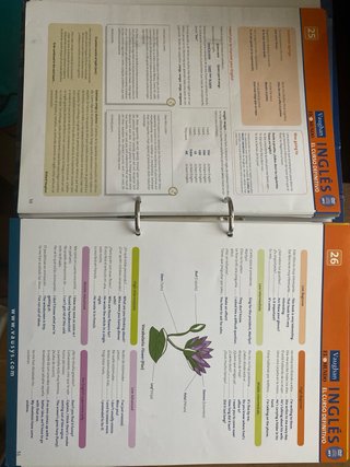 Curso de inglés Vaughan