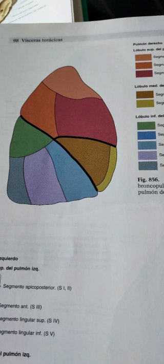 Sobotta Atlas de anatomía humana VOL. 1 Y 2