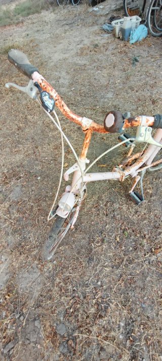 Chipiona. Bicicleta shopper rosa oxidada