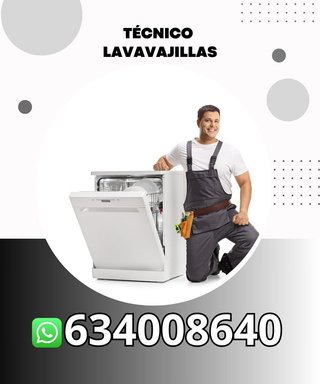 Técnico lavavajillas r20258481