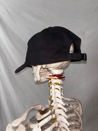 Black Dad Cap PornHub Apparel oficial gran calidad