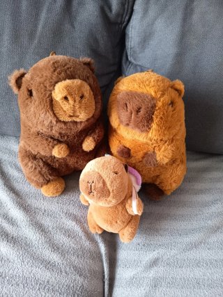 Lote 3 Peluches Capibara