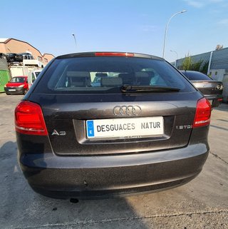 Despiece Audi A3 1.6 TDI CAY 2010