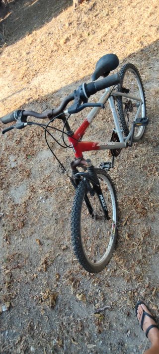 Chipiona Bicicleta de Montaña Proflex para Restaur