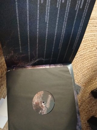 Vinilo HIERARCTICS - Transcending Obscurius
