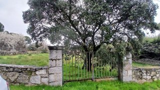 Terreno en venta en Guadarrama
