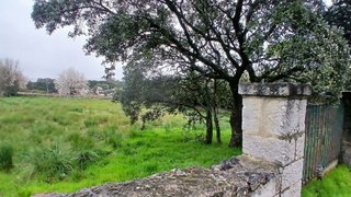 Terreno en venta en Guadarrama