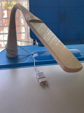 Escritorio evolutivo niño@s