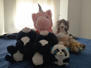 Lote de peluches variados