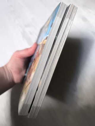 Lote 2 libros  Bat Pat