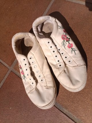 Lote Zapatillas, Sandalias y Zapatos
