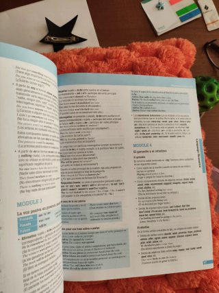 Think Ahead ESO 4 : Workbook