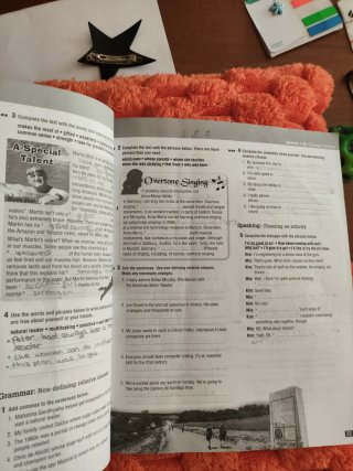 Think Ahead ESO 4 : Workbook