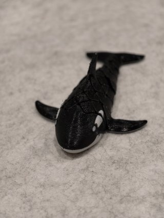 Orca Stampa 3D Articolata Snodata