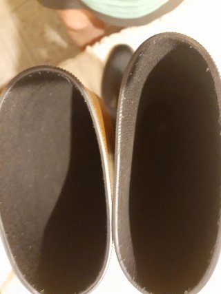 Botas