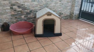 Caseta para mascota