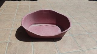 Caseta para mascota