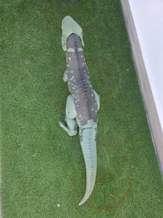 Giganotosaurus Super Colosal Juguete