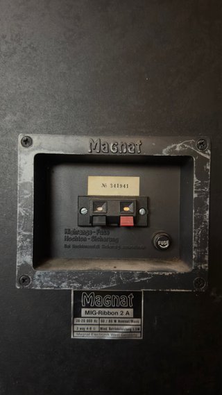 Altavoces Magnat Negros