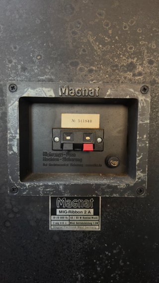 Altavoces Magnat Negros