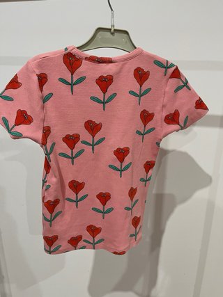 Conjunto The Campamento T8