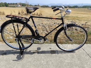 Bicicleta Atlas Goldline Super