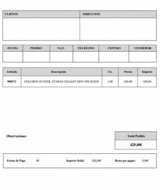 Colchón Fisiocare Active Ceramic Viscoelástico
