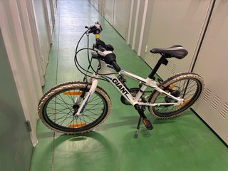 Bicicleta Giant XTC Niños
