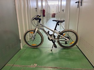 Bicicleta Giant XTC Niños