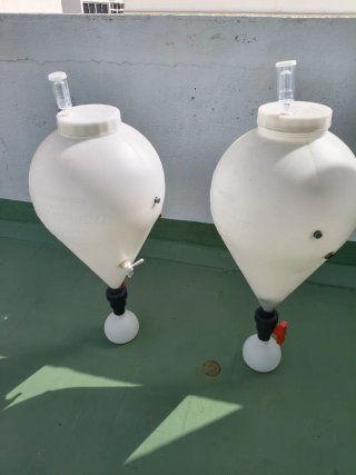 2 Fermentadores Fast Ferment Plástico Blanco