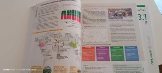 Geografía e historia Vicens Vives 3 Eso.