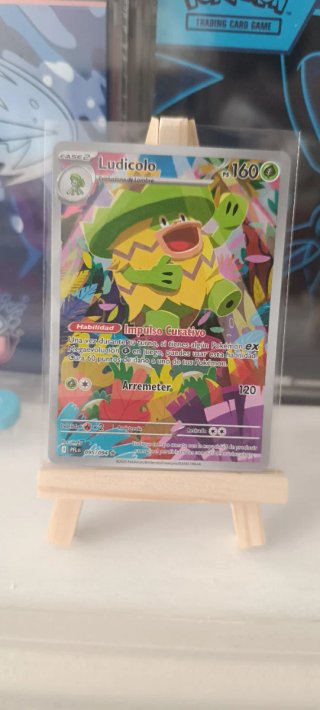 Carta Pokémon Varias