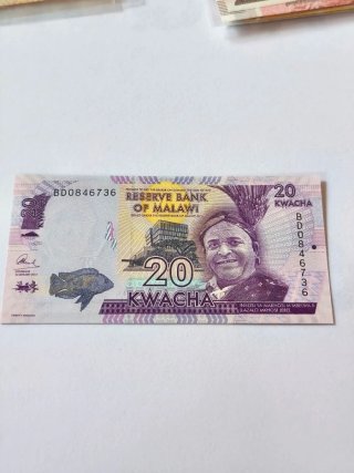 Billetes universales de coleccion esenciales