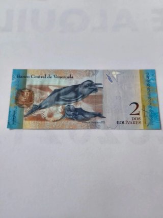 Billetes universales de coleccion esenciales