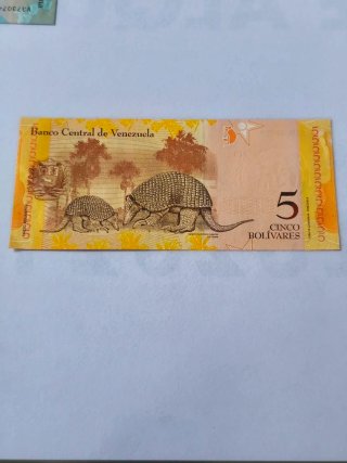 Billetes universales de coleccion esenciales