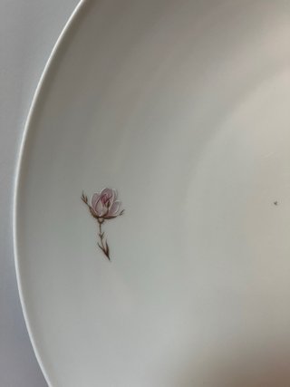 Piatto Porcellana H. Waldenberg Bavaria Rose