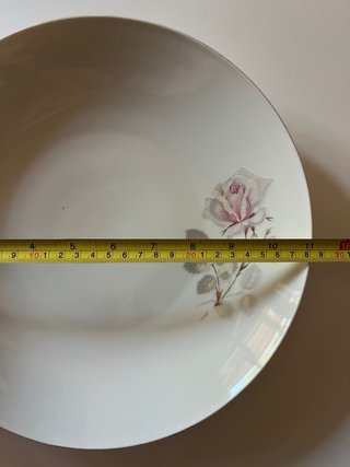 Piatto Porcellana H. Waldenberg Bavaria Rose