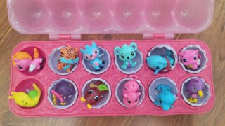 Hatchimals Isla y Colección Personajes