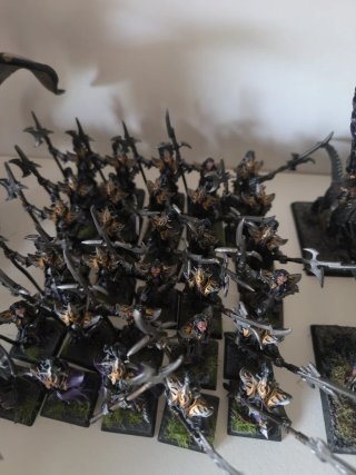 Guardia negra elfos oscuros