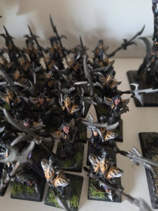Guardia negra elfos oscuros