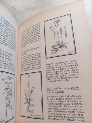 Erbe e bellezza - Erina Gavotti